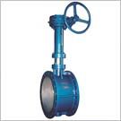 D343H加長(cháng)桿低溫蝶閥